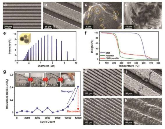 액체파라핀을 사용한 자가치유 가능한 수마이크로미터 수준의 CNT 전극의 패터닝 결과