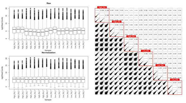 (왼쪽) Nomalization 전후 유전자 발현값과 (오른쪽) 반복 샘플간 재현성을 위한 pairs plot