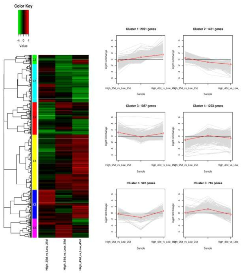 Clustering set의 heatmap 과 line plot