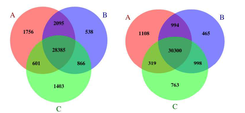 (왼쪽) 고단백질 계통 Venn diagram에 해당하는 유전자 수와 (오른쪽)저단백질 계통에 해당하는 유전자 수