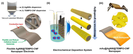 나노다공성 금 박막/은 나노와이어@TEMPO 산화 셀룰로오스 나노종이 SERS 기판 제조