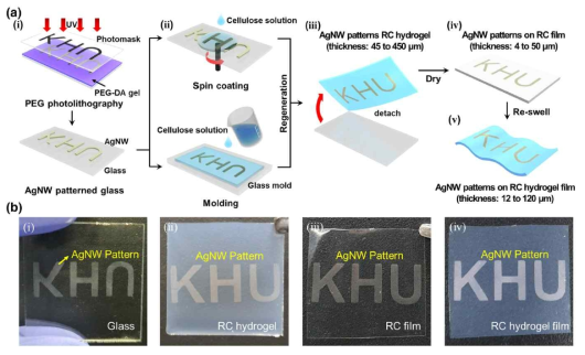 (a) 패턴된 은 나노와이어가 도입된 재생 셀룰로오스 전극 제조 (b) 은 나노와이어가 패턴이 된 유리, 재생 셀룰로오스 하이드로겔, 재생 셀룰로오스 필름, 재생 셀룰로오스 하이드로겔 필름의 실제 이미지