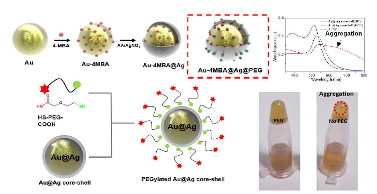 안정화된 금@은 코어쉘 입자 제조 및 UV-흡광과 실제 이미지