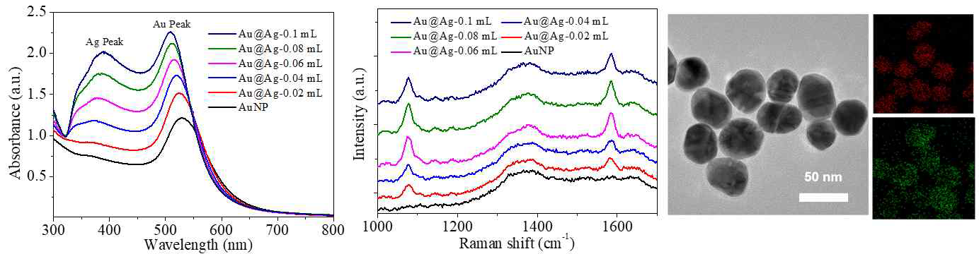 은과 환원제 비율에 따른 금@은 코어쉘 입자의 UV-흡광 및 SERS 신호 분석 및 최적화된 금@은 코어쉘 입자 SEM 이미지