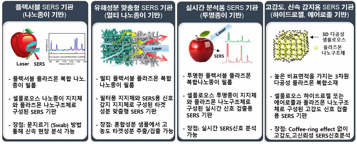 유해성분, 현장검출 맞춤형 SERS 기판 제조 및 성능 평가