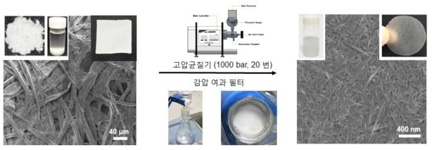 셀룰로오스 마이크로섬유로부터 고압균질기 처리와 감압여과 공정을 통한 셀룰로오스 나노섬유 기반의 나노종이 지지체 제조