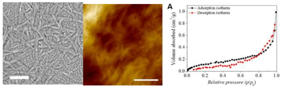 셀룰로오스 나노섬유의 SEM 이미지, 셀룰로오스 나노종이의 AFM 및 BET 측정 결과