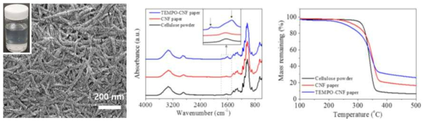 TEMPO-산화 셀룰로오스 나노섬유의 SEM 이미지, FT-IR 스펙트럼 및 TGA 결과