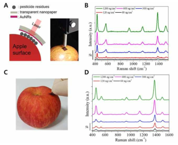 (A, B) 실제 사과 표면에 부착된 투명 SERS 기판을 이용한 bottom-up 방향의 농약 성분 (thiram) SERS 신호 분석, (C, D) 사과 표면에 남아있는 농약 성분 (thiram)을 swab 방법을 통해 SERS 신호 분석