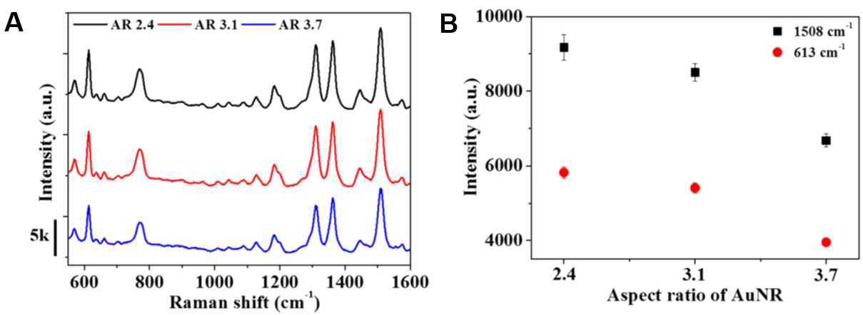 금 나노로드의 종횡비에 따른 SERS 기판의 성능 비교