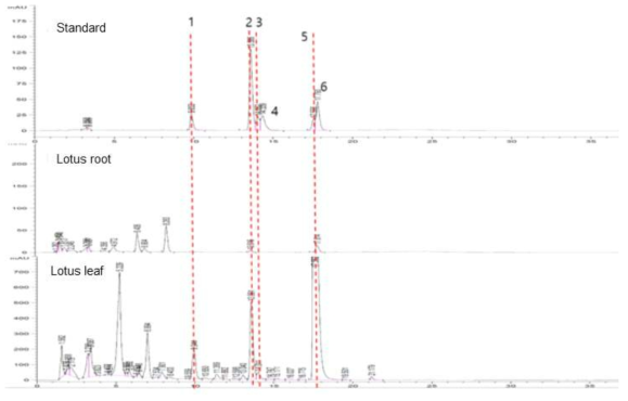 HPLC chromatogram of alkaloid extract from lotus root (B), and leaf (C) for the analysis of alkaloids (A). 1: Liensinine, 2: N-nornuciferine or O-nornuciferine, 3: Isoliensinine, 4: Dauricine, 5: Neferine, 6: Nuciferine