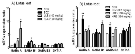 Effects of lotus leaf extract (A) and root extract (B) on mRNA expression level of receptors. NOR: 0.9% NaCl (physiological saline) group (normal control), BDZ: benzodiazepin 0.2 mg/kg, LLE: 100 mg/kg of lotus leaf extract, HLE: 150 mg/kg of lotus leaf extract, LRE: 100 mg/kg of lotus root extract, HRE: 150 mg/kg of lotus root extract. Values are presented as the mean ± standard error of the mean (SEM) for each group, n=7. Symbols indicate significant differences: *p<0.05, **p<0.01 compared to the NOR group by Tukey's test