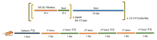 Stress-induced insomnia model