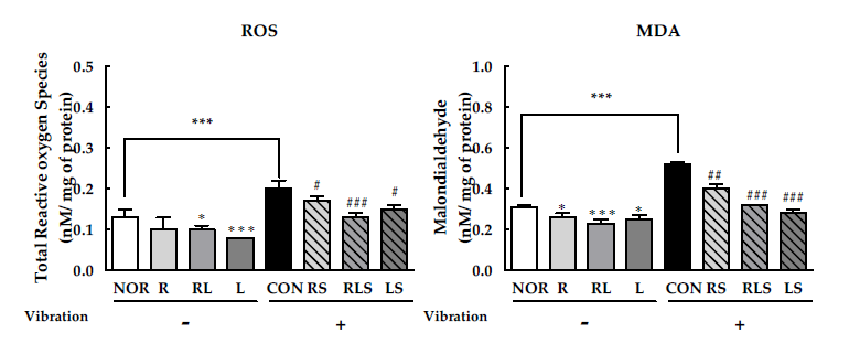 Effect of lotus root extract and lotus leaf extract mixture on ROS, MDA and GABA level in vibration stressed Drosophila. (A) ROS generation, (B) MDA generation, (C) GABA release. Experimental groups include the normal group (NOR), control group (CON, stress-induced vibration), and lotus root, leaf extract and mixtures (1:3) with (R, RL, L) or without stress (RS, RLS, LS). Values are presented as the mean ± standard error of the mean (SEM) for each group, n=150. *p < 0.05, **p < 0.01, and ***p < 0.001 versus NOR group. #p < 0.05, ##p < 0.01 and ###p < 0.001 versus CON according to Tukey’s multiple comparison test
