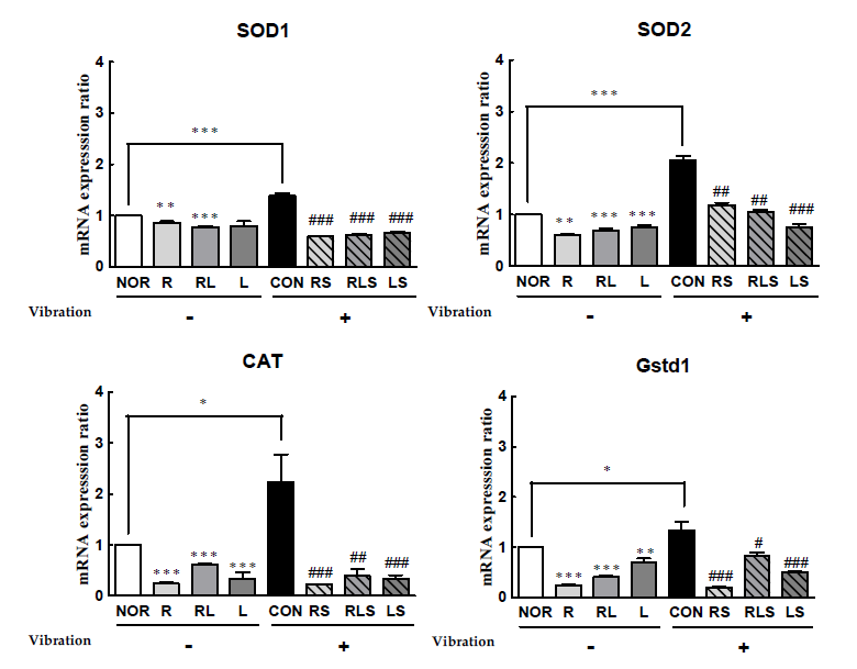 Effects of lotus root extract and leaf extract mixture on gene expression level of antioxidant enzymes in vibration stressed D. melanogaster. (A) SOD1 enzyme expression level, (B) SOD2 expression level, (C) GAT expression level, (D) Gstd1 expression level. Experimental groups include the normal group (NOR), control group (CON, stress-induced vibration), and lotus root, leaf extract and mixtures (1:3) with (R, RL, L) or without stress (RS, RLS, LS). Values are presented as the mean ± standard error of the mean (SEM) for each group, n=150. *p < 0.05, **p < 0.01, and ***p < 0.001 versus NOR group. ##p < 0.01 and ###p < 0.001 versus CON according to Tukey’s multiple comparison test