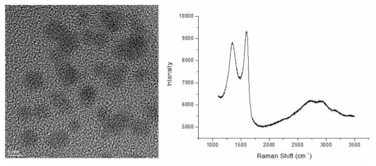 SiO2 기판 상에 제조된 이온빔 이용 소자용 그래핀 양자점의 TEM, RAMAN 결과