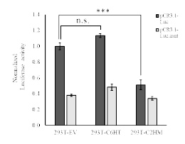 NF-κB 결합부위를 가지는 프로모터를 포함하고 루시퍼레이즈를 발현하는 벡터를 이용한 NF-κB 활성 측정 (ANOVA, LSD, ***: p<0.001)