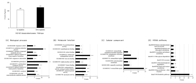 The summary of differentially expressed genes in the NSD SET domain deleted fly