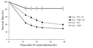 Increased survival rates of NSD-overexpressing Drosophila 3rd instar larvae following Pe ingestion. Control and NSD-overexpressing larvae were naturally infected with Pe. Pe infections killed 70% of wild-type larvae within 48 h. NSD larvae died slower after Pe ingestion (90% lethality at 48 h) compared with the control larvae. The NSD-overexpressing flies were less susceptible to Pe infection than the control. (C) Relative survival rates of unchallenged NSD-overexpressing flies compared with control flies. Control flies survived longer than NSD-overexpressing flies. The flies were incubated at 29 °C with 60% humidity and normal light-dark cycles