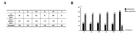 Transcriptome analysis of the NSD null mutant fly. (A) In the transcriptome analysis result, the numbers of upregulation and downregulation genes are indicated. The number of genes that showed more than twice the change was counted. (B) The number of the upregulated genes encoded in chromosome 4 was increased 4-fold while that of the rest chromosomes was decreased 2~3-fold. It is a graph showing the percentage in (A)