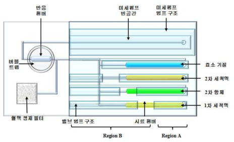 면역검사를 위한 프로그래머블 미세유체 소자. Region A는 모든 밸브가 닫힌 구간이고 Region B는 특정 밸브가 순차적으로 열리는 구간임