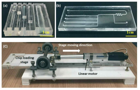 (a) 개발한 PDMS 펌프 액추에이터, (b) PMMA 기반의 LOC 테스트용 소자, (c) 롤러로 PDMS 액추에이터를 작동시키는 구동 프레임