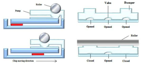 (a) 미세 펌프의 원리. 롤러가 움직이며 발생하는 복원력에 의하여 유체를 펌핑하는 음압이 발생함; (b) 미세 밸브의 원리. 롤러가 누르는 위치에 범프 패턴이 있으면 밸브가 닫힘