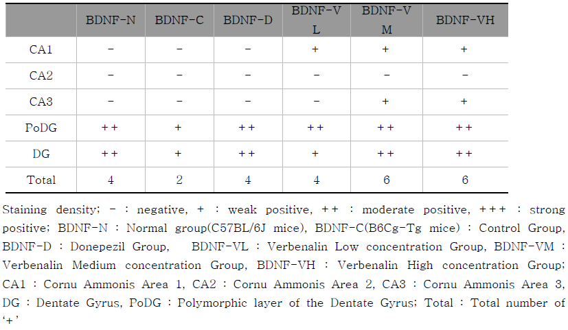 The change of BDNF immunoreactive neurons in C57BL/6J and B6Cg-Tg mice hippocampus