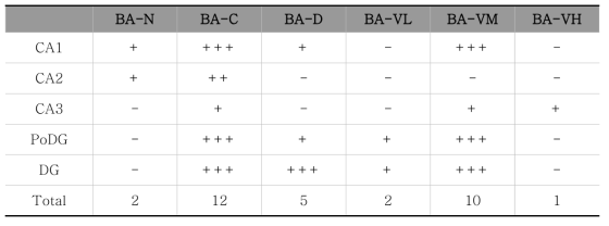 The change of β-amyloid immunoreactive neurons in the C57BL/6J and B6Cg-Tg mice hippocampus