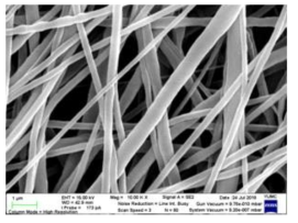 나노섬유시트의 전자현미경 사진