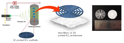 3D 프린팅된 PCL sacffold를 이용한 복합구조 나노시트 제작 모식도