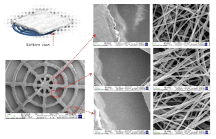 3D 프린팅된 PCL scaffold를 이용한 복합구조 나노시트의 전자현미경 사진