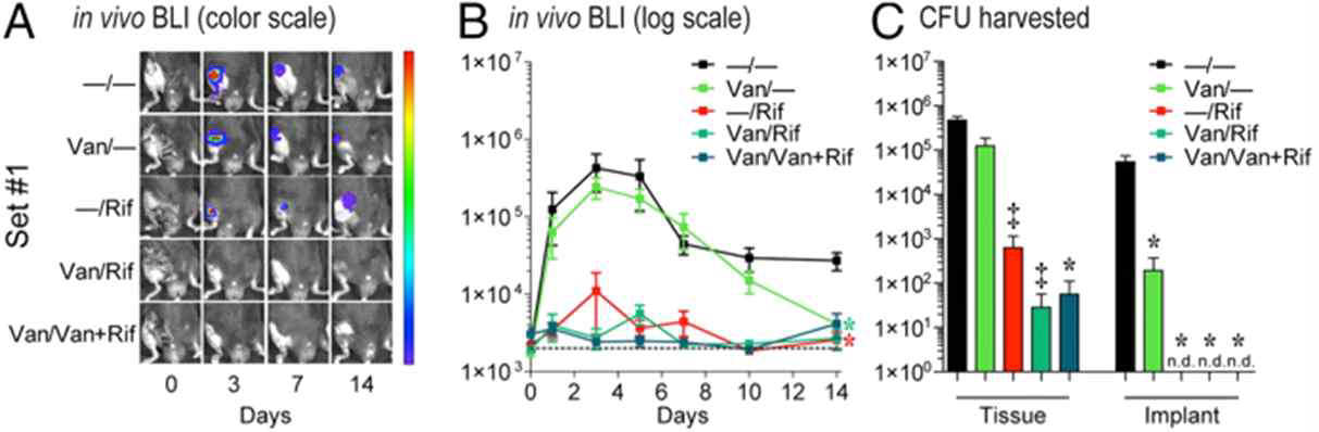 Polymeric nanofiber coating with tunable combinatorial antibiotic delivery prevents biofilm-associated infection in vivo