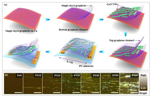 GaN NW와 Graphene 기반 Stretchable 광센서의 (a)공정도, (b)광학현미경 이미지