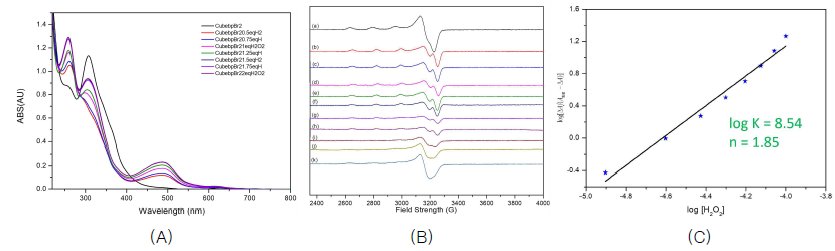 [Cu(II)(bebp-Br2)(MeOH)](ClO4)2와 H2O2 반응에서 H2O2농도에 따른 (A) UV/Vis와 (B) EPR 스펙트럼의 변화. (C) Hill plot