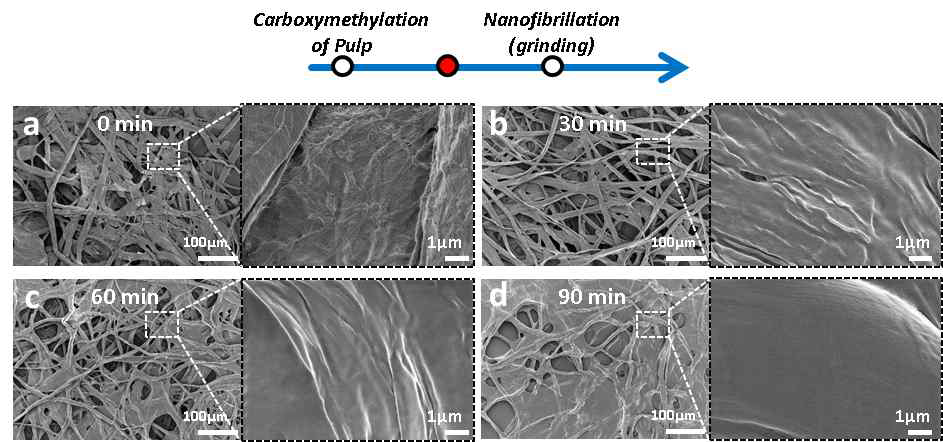 카르복시메틸화 반응 시간에 따른 펄프의 표면 주사전 자현미경 사진. (a) 0분, (b) 30분, (c) 60분, (d) 90분