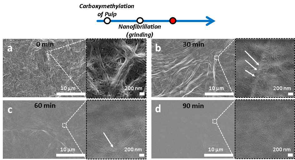 카르복시메틸화 반응 시간에 따른 셀룰로오스 나노섬유 의 표면 주사전자현미경 사진. (a) 0분, (b) 30분, (c) 60분, (d) 90분