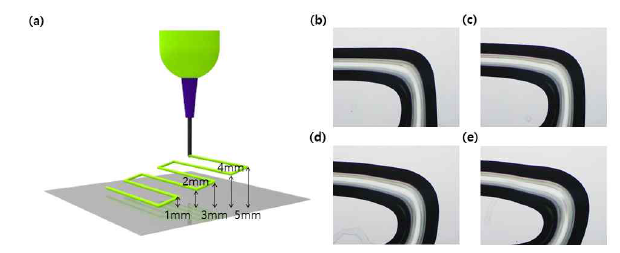 (a) 기판과 노즐과의 간격에 따라 mannitol 배지 첨가 셀룰로오스 나노섬유 하이드로겔의 프린팅 모식도, (b) 1cm, (c) 2cm, (d) 3cm, (e) 4cm 의 기판과 노즐과의 간격에서 하이드로겔을 직각 구조로 프린팅 한 광학 현미경 사진