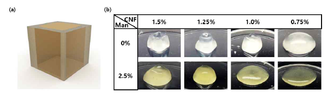 (a) 셀룰로오스 나노섬유 하이드로겔의 3D 구조 프린팅 모식도, (b) mannitol 배지 유무와 셀룰로오스 나노섬유 농도에 따른 3D 구조 셀를로오스 나노섬유 하이드로겔의 구조 안정성 평가