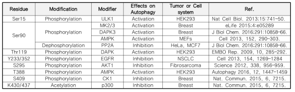 Post-trasnslational modofication of Beclin 1