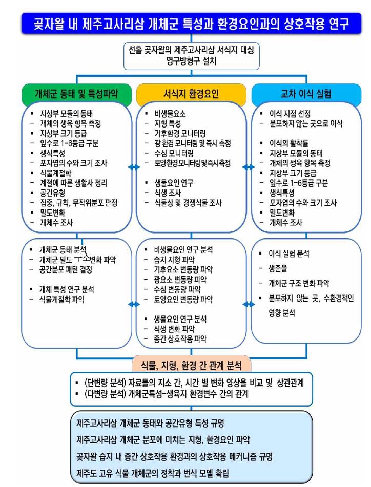 연구 흐름도