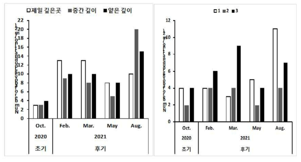 제주고사리삼의 서식처 이식 후의 영양엽의 발생 밀도(좌;참느릅나무군락 임상. 우;종가시나무군락 임상)