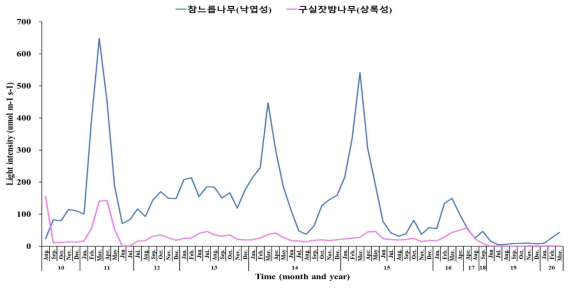 제주고사리삼 서식지 참느릅나무(낙엽성)과 구실잣밤나무(상록성)에서의 연 광량