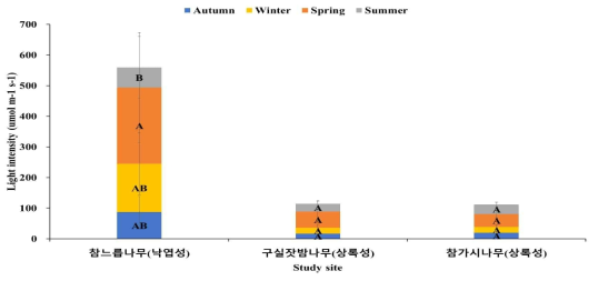 제주고사리삼 서식지의 계절별에 따른 평균 광량. 막대기 안의 대문자는 지소 별 계절에 따른 광량 차이를 의미한다