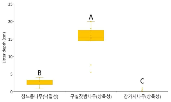 제주고사리삼 서식지의 낙엽층 깊이