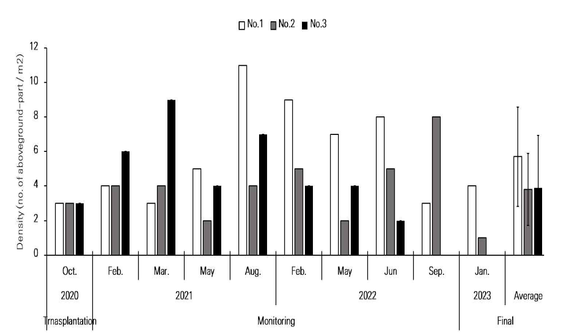 조사구 RH2에서 제주고사리삼의 밀도변화(개체군 크기)