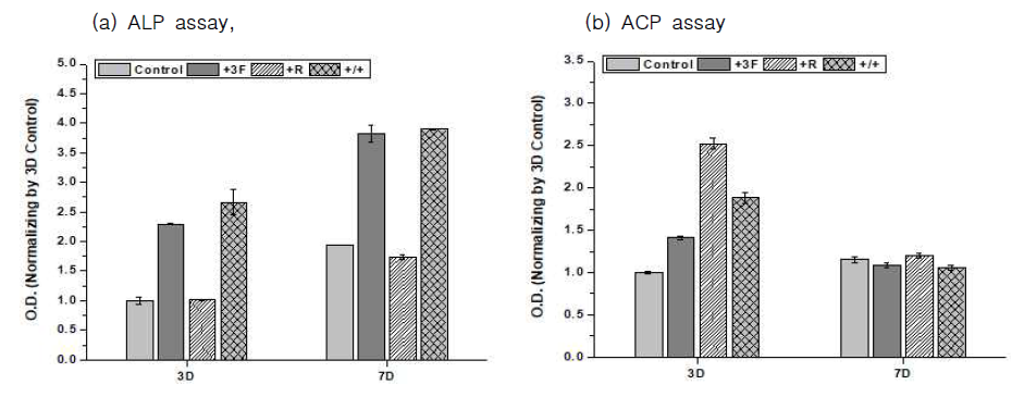 Differentiation of MC3T3-E1 and Raw264.7 in the co-culture condition