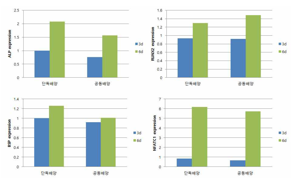 mMSCs와 mHSCs의 공배양 조건에서 조골 및 파골세포 분화 유전자 발현양상