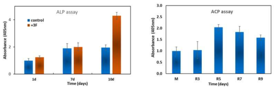 Osteogenic induction of MSCs & HSCs in the OS gel