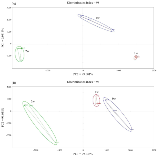 Principle component analysis by electronic nose of pork loin, and chicken breast with various wet aging periods at 4℃. (A) Pork loin (B) Chicken breast